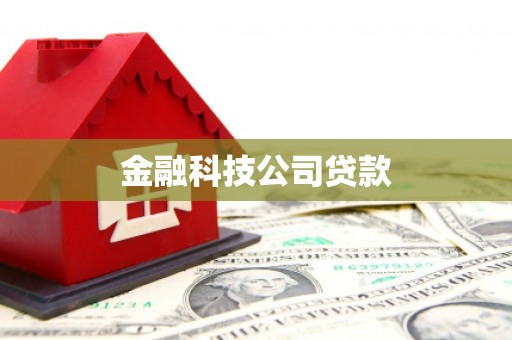 宣恩金融科技公司贷款