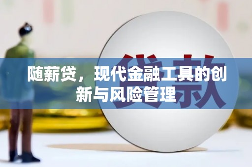 宣恩随薪贷，现代金融工具的创新与风险管理