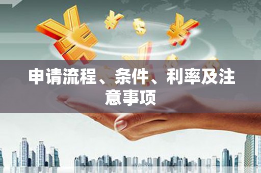 宣恩申请流程、条件、利率及注意事项