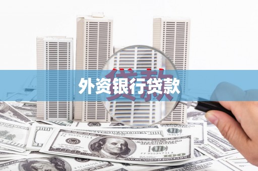 宣恩外资银行贷款