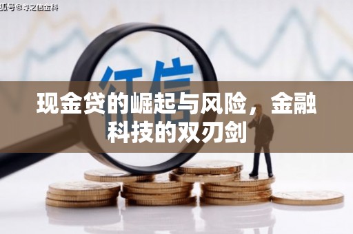 宣恩现金贷的崛起与风险，金融科技的双刃剑