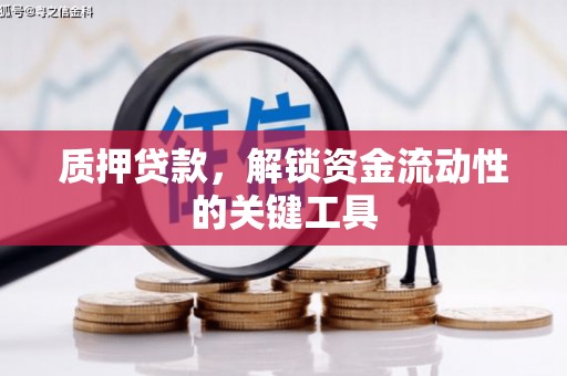 宣恩质押贷款，解锁资金流动性的关键工具