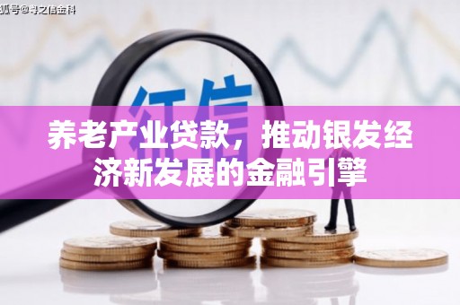 宣恩养老产业贷款，推动银发经济新发展的金融引擎