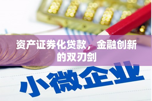 宣恩资产证券化贷款，金融创新的双刃剑