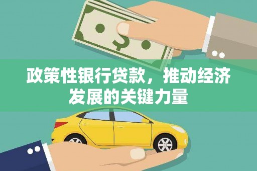宣恩政策性银行贷款，推动经济发展的关键力量