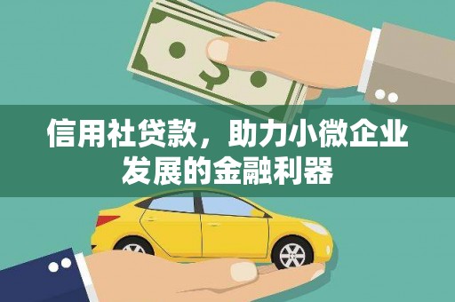 宣恩信用社贷款，助力小微企业发展的金融利器