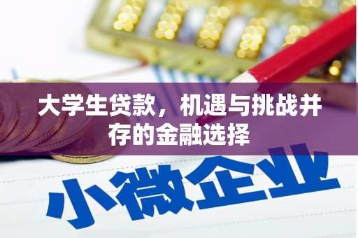 宣恩大学生贷款，机遇与挑战并存的金融选择