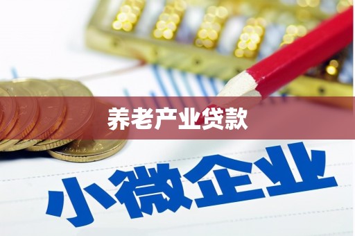 宣恩养老产业贷款