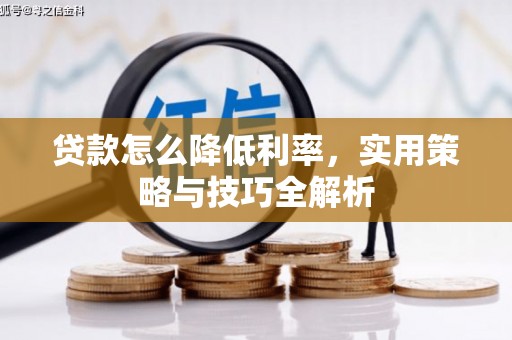 宣恩贷款怎么降低利率，实用策略与技巧全解析