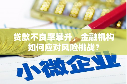 宣恩贷款不良率攀升，金融机构如何应对风险挑战？