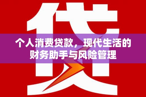 宣恩个人消费贷款，现代生活的财务助手与风险管理