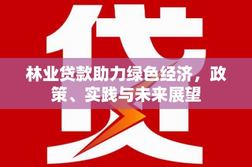 宣恩林业贷款助力绿色经济，政策、实践与未来展望