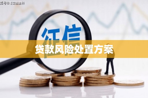宣恩贷款风险处置方案