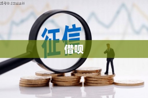 宣恩借呗